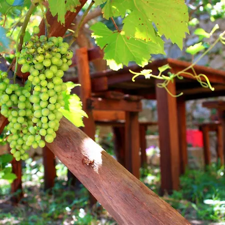 Florence House Santa Caterina dello Ionio