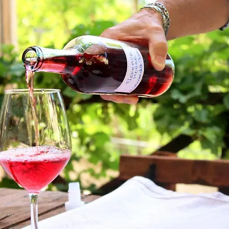 Apartment Florence House Santa Caterina dello Ionio